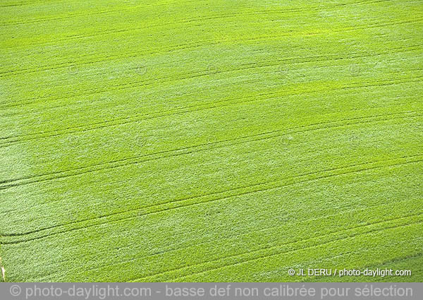 agriculture - Hesbaye